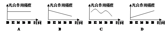 下面是北方夏季晴天中棉花叶片光合作用强度变化曲线请指出比较符合