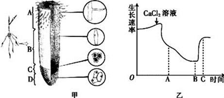 生态系统的能量流动和物质循环是生态系统的主