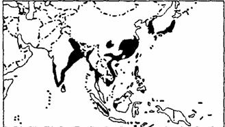 读世界水稻种植业和大牧场放牧业的分布图 (下