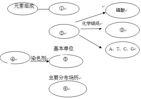 家庭关系怎么填