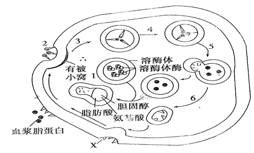 2013-2014学年下期形势与政策课考试题(毕业班)