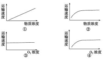 某科学家在研究细胞膜运输物质时发现有下列四种关系,分别用四种曲线