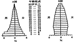 对人口金字塔的分析_北京市第六次全国人口普查GIS正式验收(2)