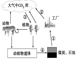 怎样绘制人口金字塔_如何使用SAS绘制人口金字塔(3)