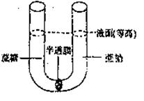 坐拥百亿家产北京霍总独爱村庄风景在老家拖鞋裤衩配劳斯莱斯