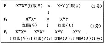 (10分)果蝇的繁殖能力强,相对性状明显,是常用的遗传实验材料.请回答