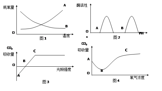 以下四幅坐标图像是有关生物的生理过程的描述,下列对这四幅图像的