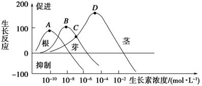 如图1表示生长素浓度对植物根,芽和茎生长的影响.请回答下列问题.