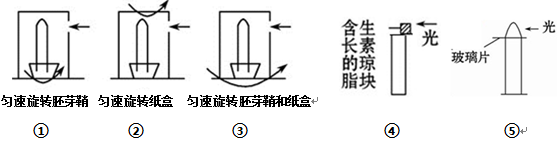 ③根据图所示的不同处理,判断胚芽鞘的生长及弯曲情况的相关叙述