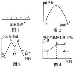 是A.营养不良.血浆蛋白含量减少B.花粉过敏引