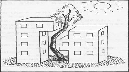 根据下面提示.写一篇介绍张海迪的短文. 姓名 张