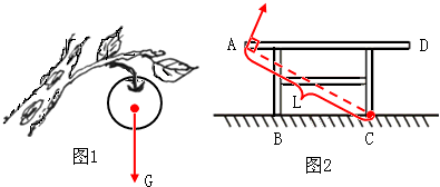 (1)如图1,画出悬挂在枝头的苹果所受力的示意图