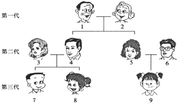 如图是某家族成员的关系图谱.请据图回答
