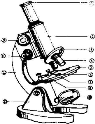 如图是光学显微镜构造图.请回答.(1)使用显微镜