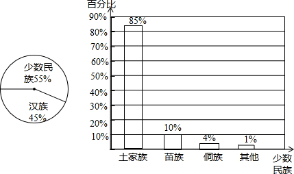 中国各民族人口_各民族的人口总数