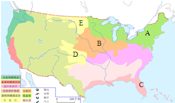 读美国农业带分布图.回答以下问题:E(1)A处为什么发展乳畜带? .(2)B处发展玉米带的条件是 .(3)C处为 带.其发展的有利条件是 . (4)小麦区分为两个区域.其中D为 小麦区.E为 小麦区. 题目和参考答案