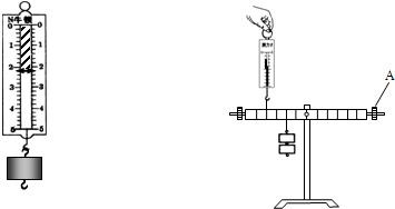 28.如图所示的弹簧测力计测钩码的重力.首先观察弹簧测力计的测量范围是 .分度值是 .此时指针所指的示数为 N.