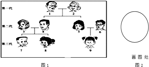 如图是某家庭成员的关系图谱,该家庭成员用阿拉伯数字表示,请分析下图