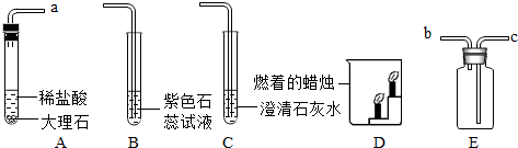 如图是某同学设计的实验室制取二氧化碳并验证其性质的实验装置图.