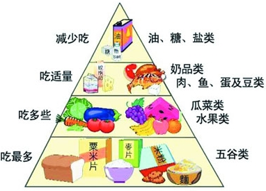 如图所示的食物金字塔是我国营养学家提出的膳