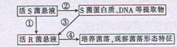 a.实验遵循了对照原则和单一变量原则