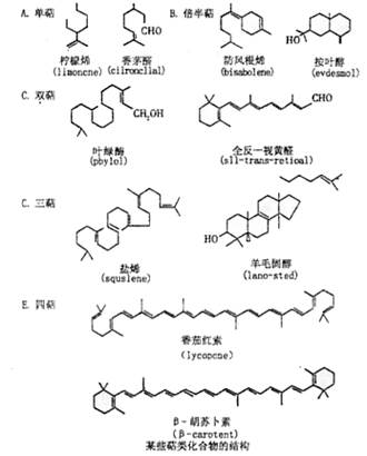 光被所有生物以不同方式捕获在这一过程中光感受的色素是胡萝卜素下面