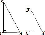 作业宝