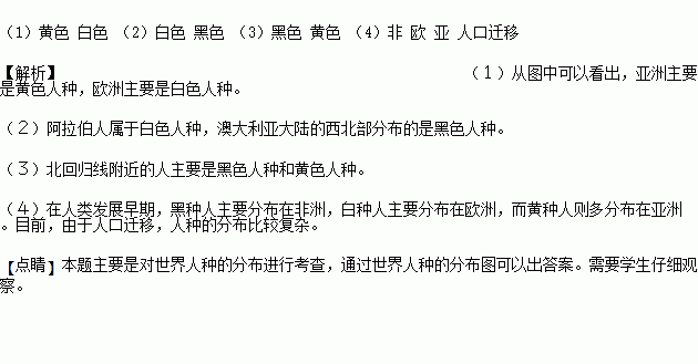 亚洲的人口居民人种_...一节课件 世界人口与人种(2)