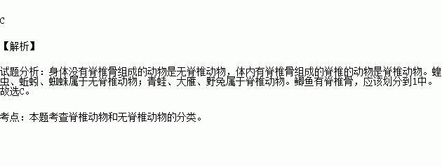 物中的6种进行了简单分类.下列叙述正确的是(