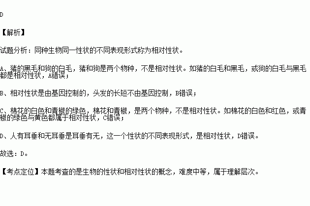 白毛人口_人口普查(2)