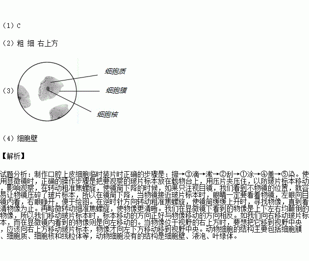 制作人口上腔_人口普查