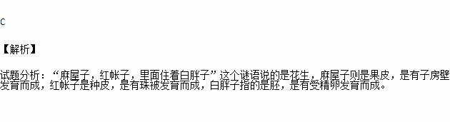 麻屋子.红帐子.白胖子分别由什么结构发育而来)a.珠被.受