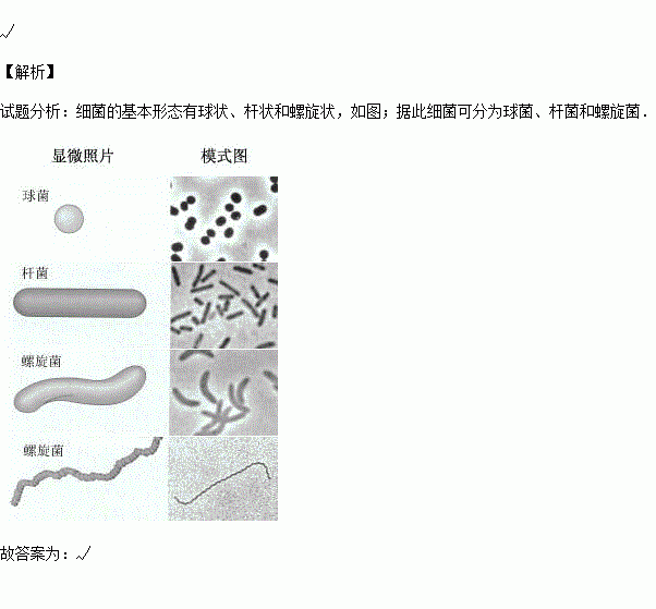 2015秋61厦门期末细菌有球形杆形螺旋形等不同的形态判断对错