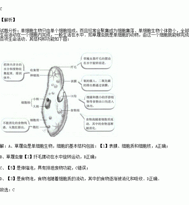 错误的是( )a.草履虫