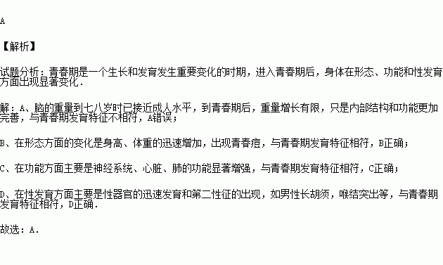 下列与青春期发育特征不相符的是)