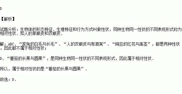 白毛人口_人口普查