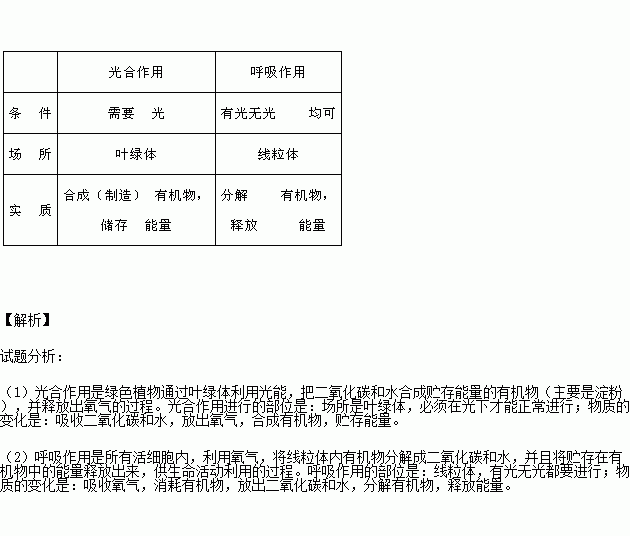 完成表格比较光合作用和呼吸作用