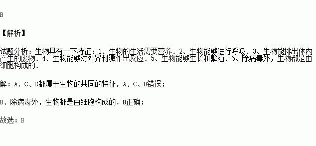 下列说法中什么不是gdp的特征_啥也不是图片