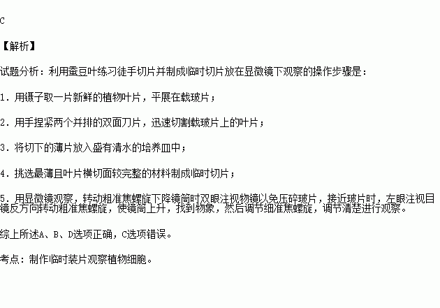 某同学利用蚕豆叶练习徒手切片并制成临时切片放在显微镜下观察.