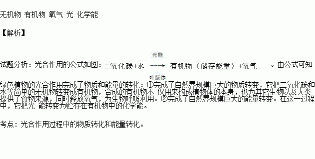 光合作用的实质