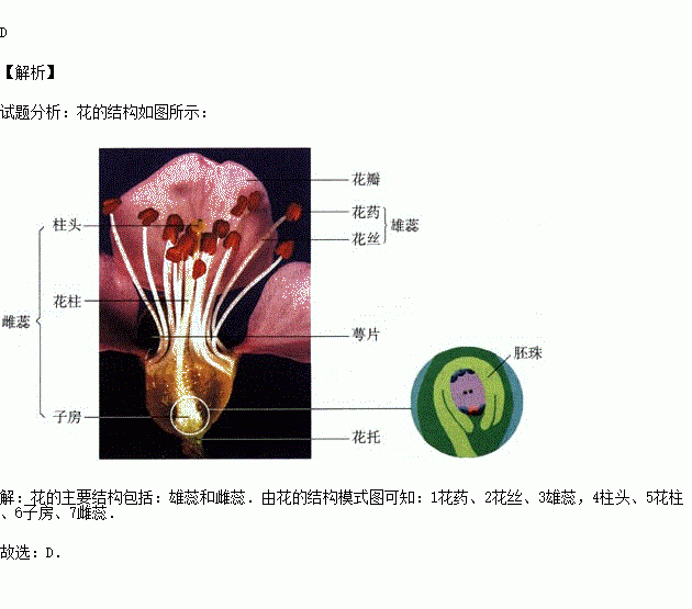 标号[4]所示名称是( )a.花药 b