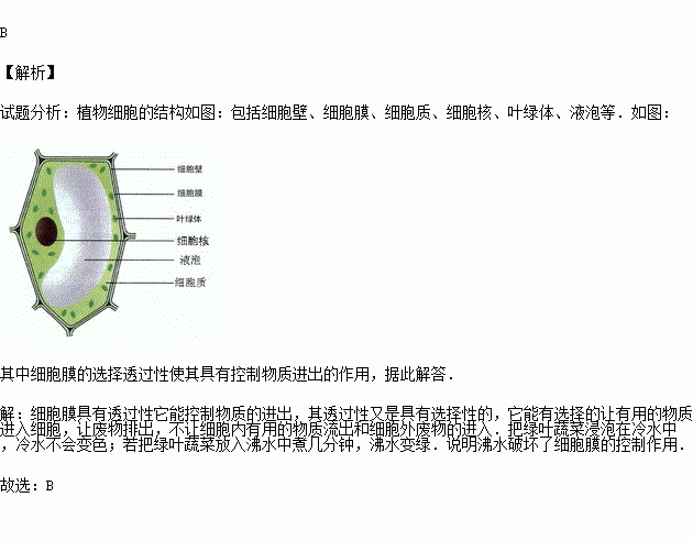 沸水很快变绿.出现这种现象的主要原因是高温破坏了细胞结构的)a.