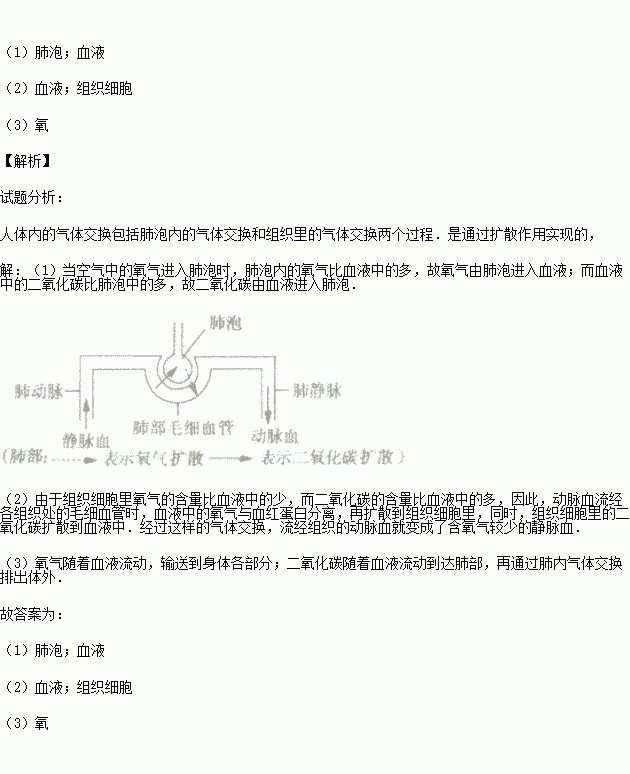 图为人体内气体交换和运输的示意图请据图回答