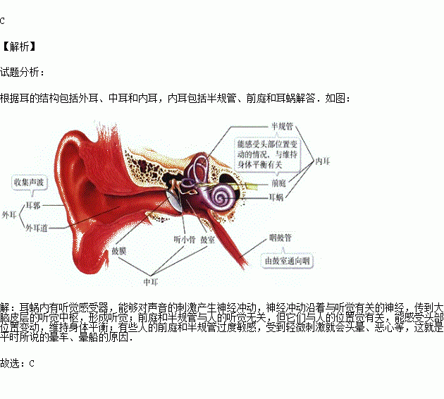 鼓室.鼓膜.