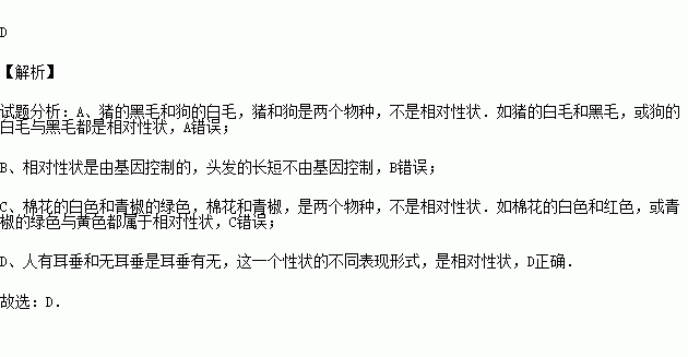 白毛人口_人口普查