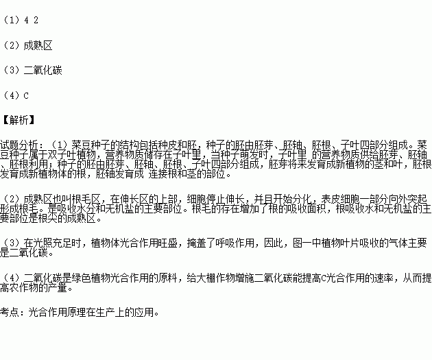 如图一所示为菜豆种子的结构及幼苗图二为某植物的叶片所进行的abc