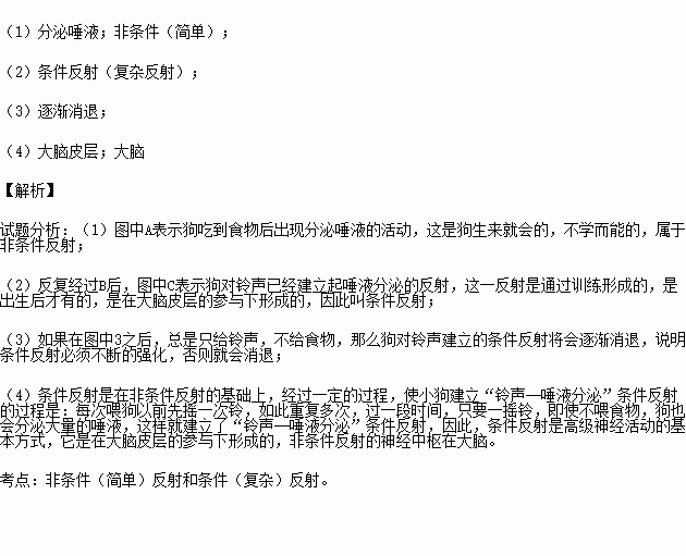 下图为动物条件反射建立过程示意图请据图分析回答