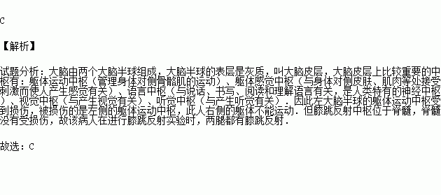 膝跳反射的原理_膝跳反射(2)