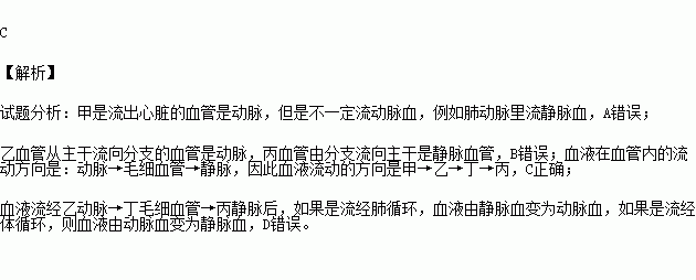 血管的示意图 表示血流方向.下列表达正确的是a.