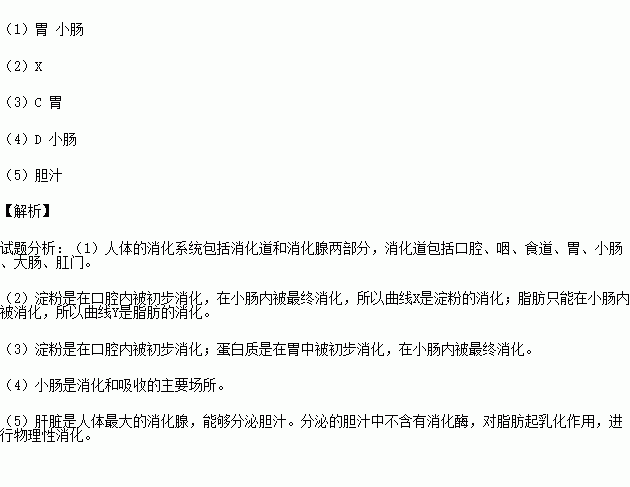 (3)蛋白质被消化的起始部位是(2)图中表示淀粉被消化过程的曲线